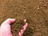 Пескогрунт (песок земля)